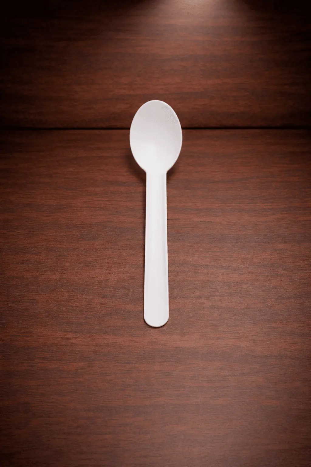 Compostable Bagasse Spoon