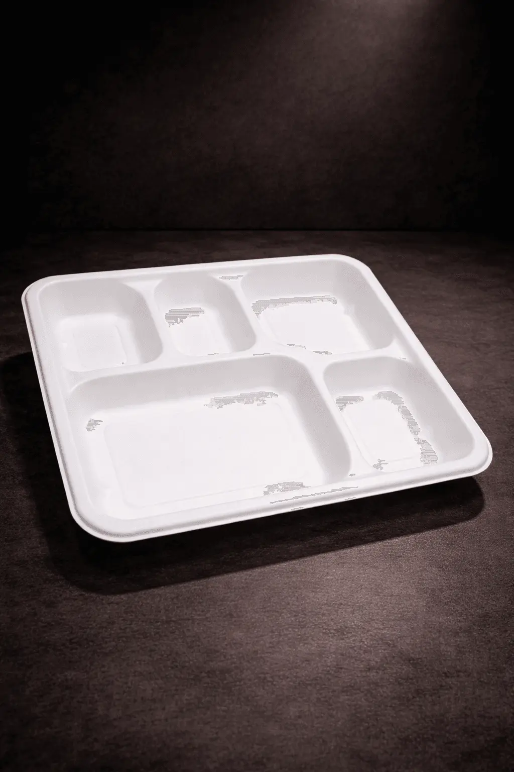 5-Compartment Plate