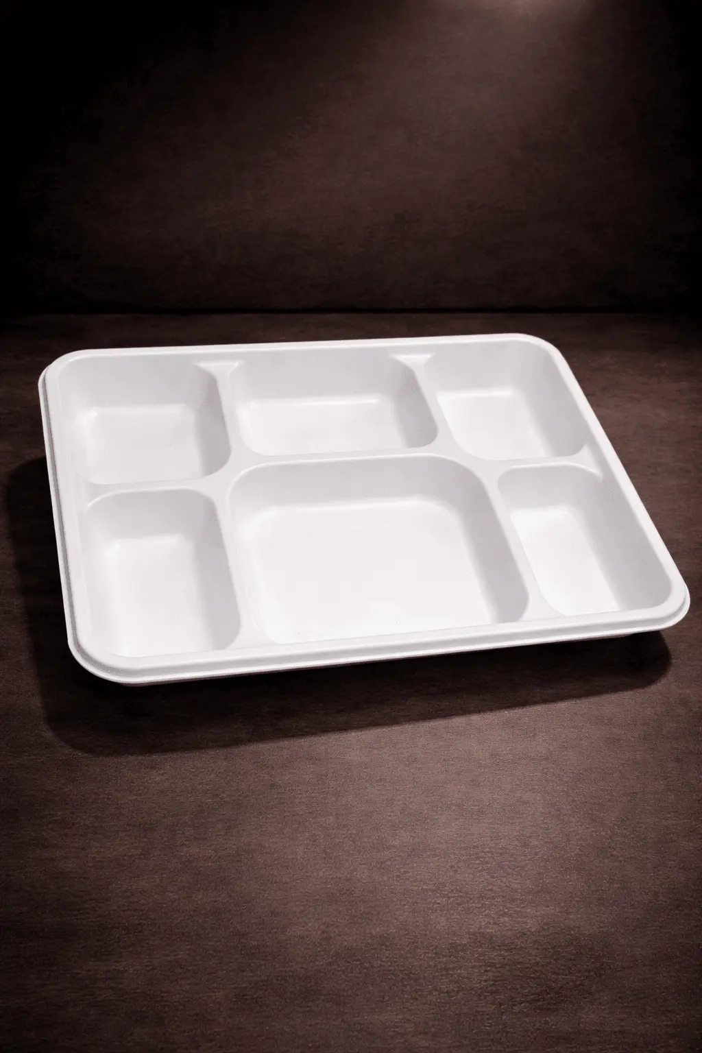 6-Compartment Plate